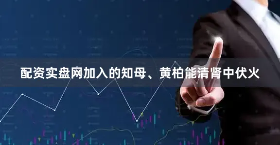 配资实盘网加入的知母、黄柏能清肾中伏火