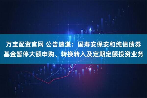 万宝配资官网 公告速递：国寿安保安和纯债债券基金暂停大额申购、转换转入及定期定额投资业务