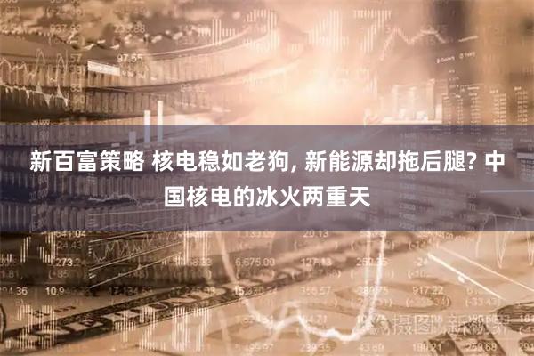 新百富策略 核电稳如老狗, 新能源却拖后腿? 中国核电的冰火两重天